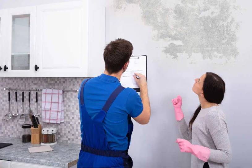 Best Mold Inspectors Near Me